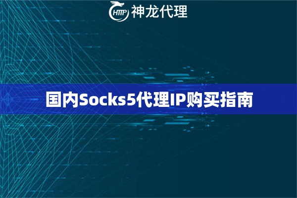 国内Socks5代理IP购买指南