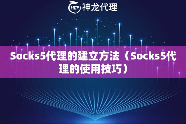 Socks5代理的建立方法（Socks5代理的使用技巧）