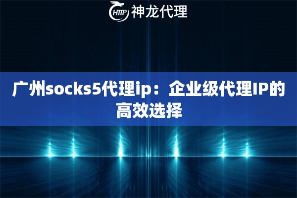 广州socks5代理ip：企业级代理IP的高效选择