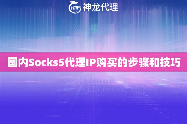 国内Socks5代理IP购买的步骤和技巧