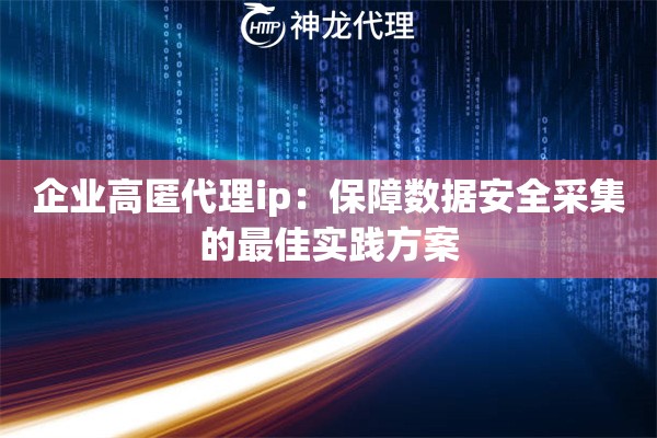 企业高匿代理ip：保障数据安全采集的最佳实践方案