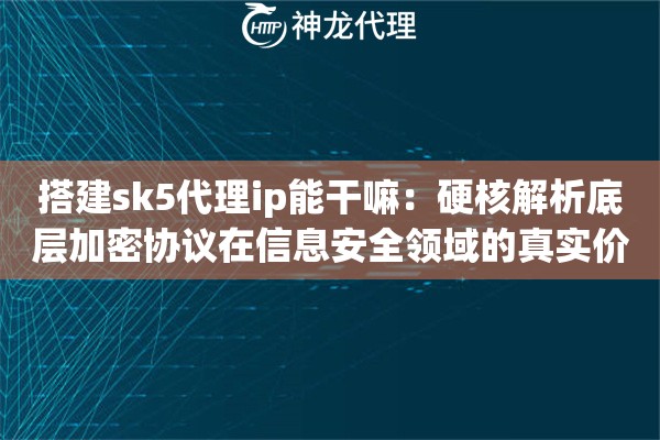 搭建sk5代理ip能干嘛：硬核解析底层加密协议在信息安全领域的真实价值