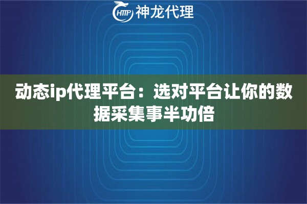 动态ip代理平台：选对平台让你的数据采集事半功倍