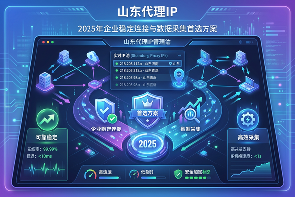 山东代理ip：2025年企业稳定连接与数据采集首选方案