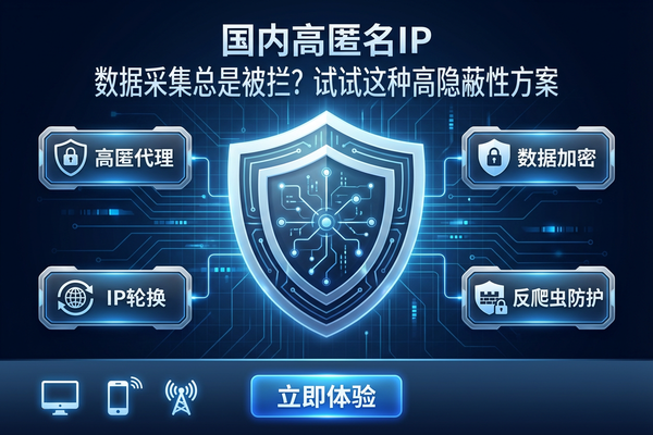 国内高匿名ip：数据采集总是被拦？试试这种高隐蔽性方案