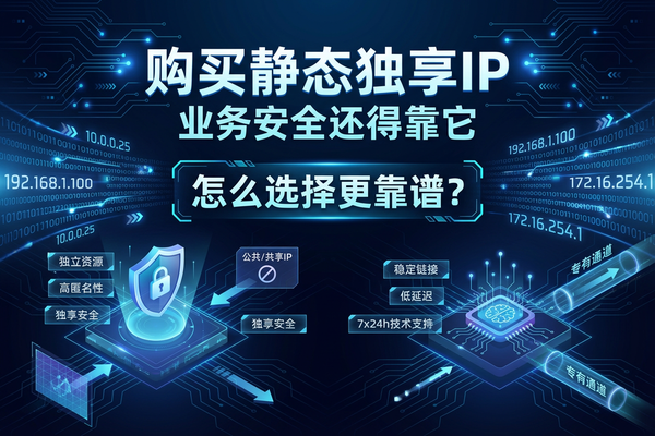 购买静态独享IP：业务安全还得靠它，怎么选择更靠谱？