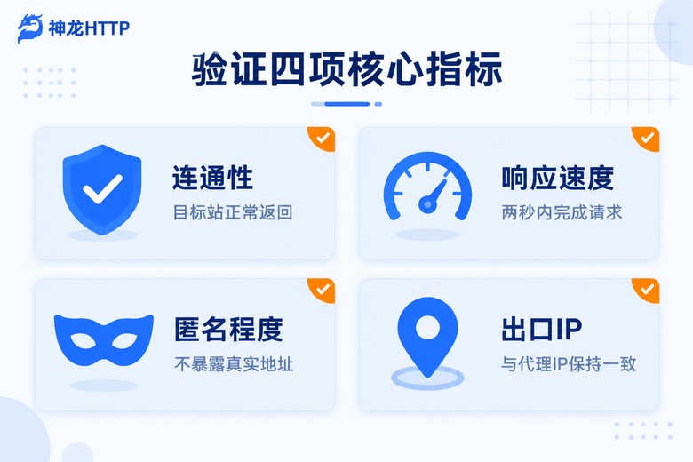 代理IP验证四项核心指标信息图