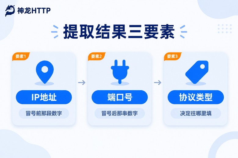 提取结果三要素:IP地址、端口号、协议类型