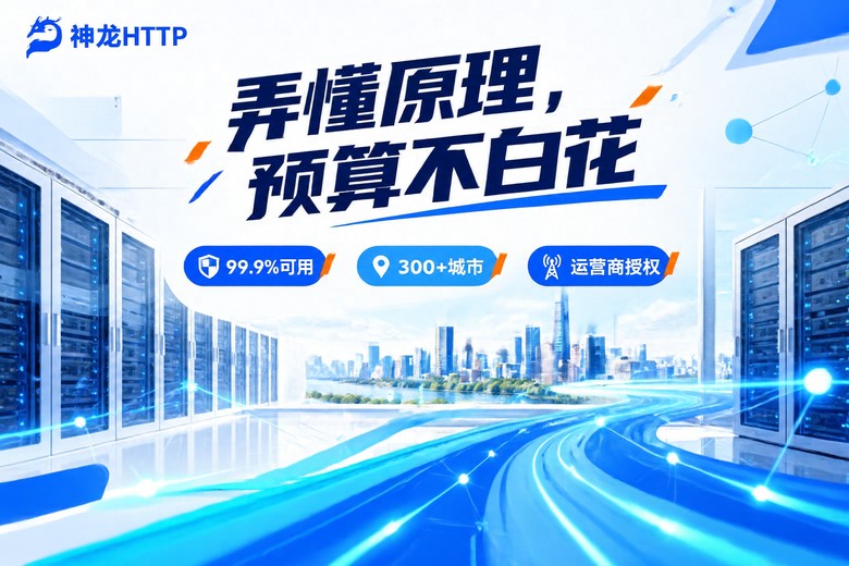 神龙HTTP代理IP品牌图:弄懂原理预算不白花