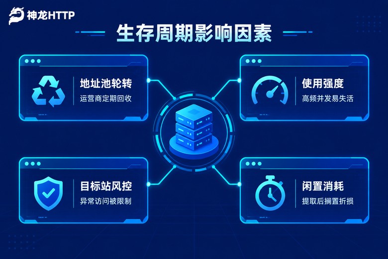 影响代理IP生存周期的关键因素图解