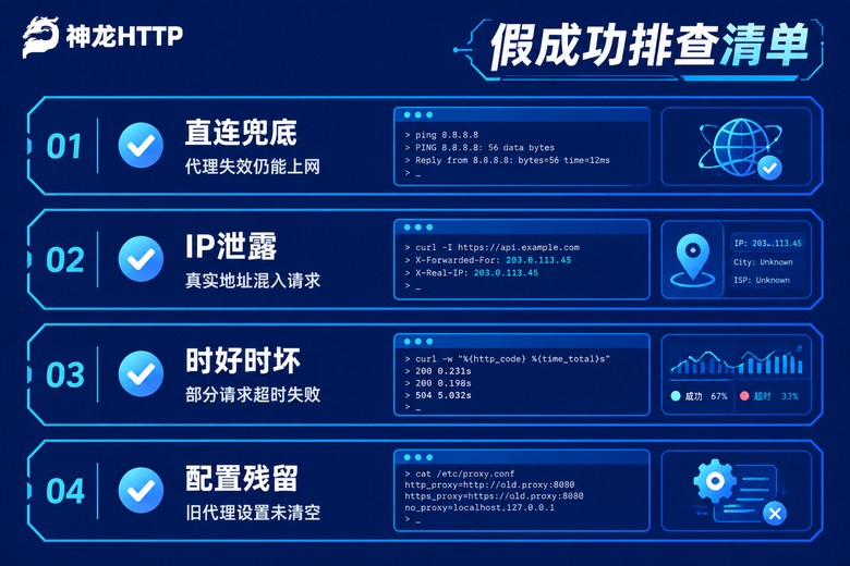 代理IP假成功情形排查清单信息图