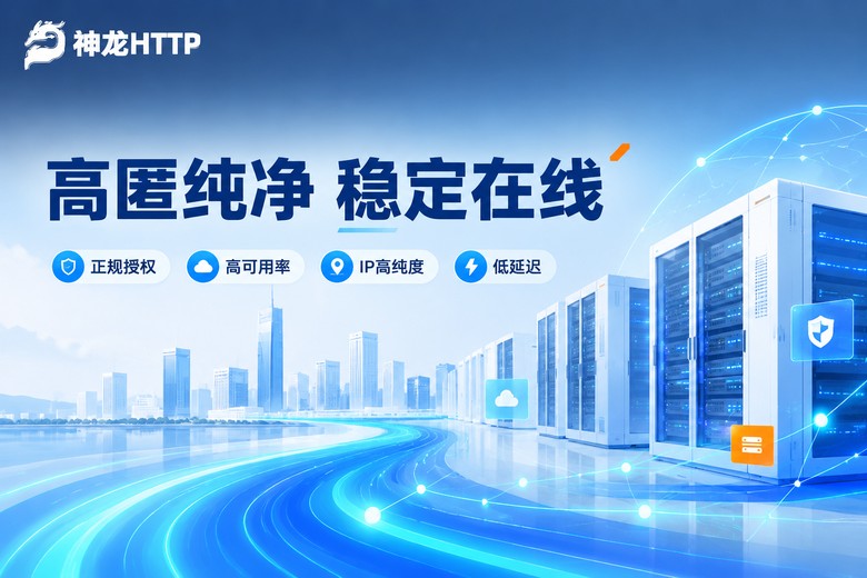神龙HTTP高匿纯净稳定在线品牌图