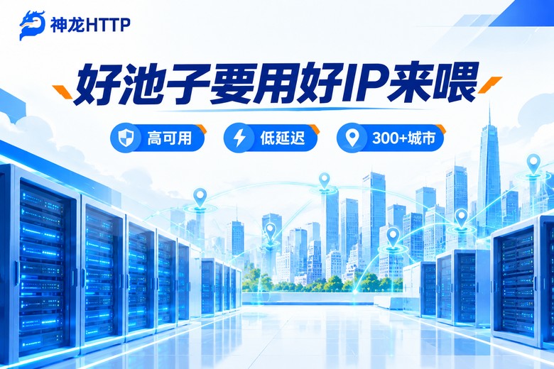 神龙HTTP高品质代理IP服务