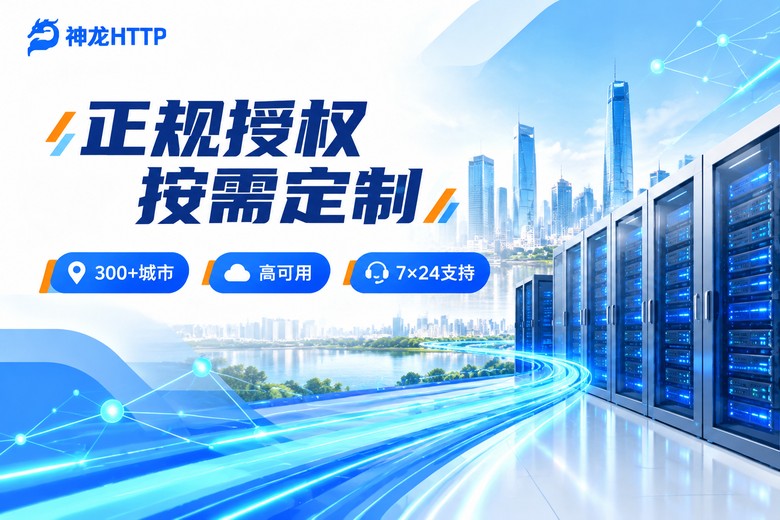 神龙HTTP企业级代理IP定制服务