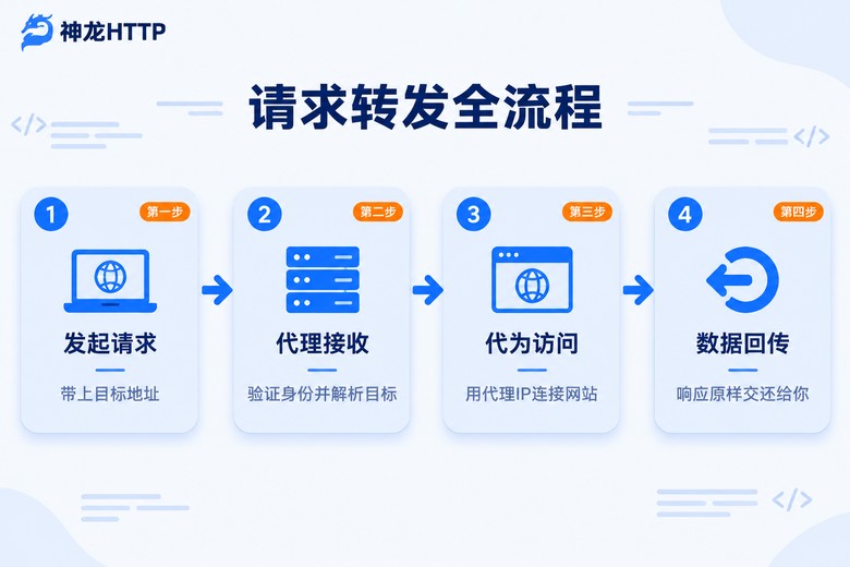 代理IP请求转发全流程示意图