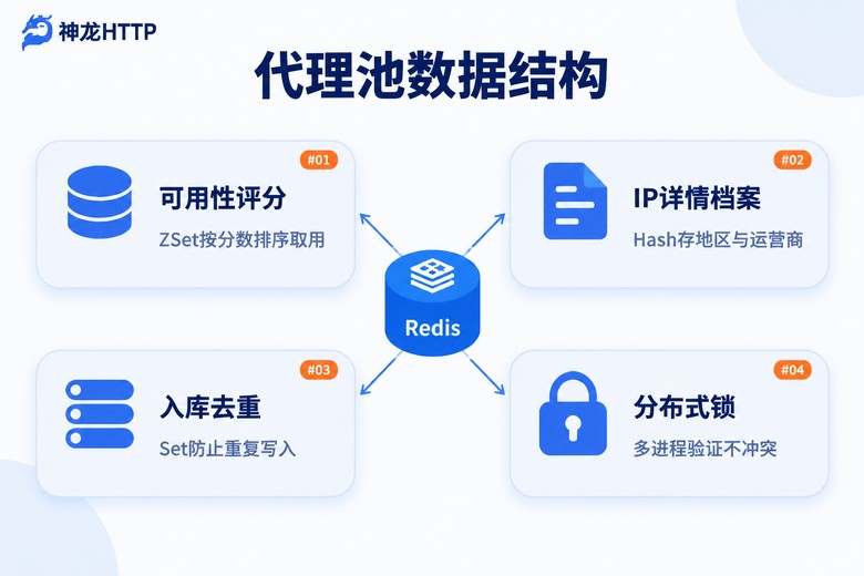 Redis代理IP池四大数据结构分工示意图