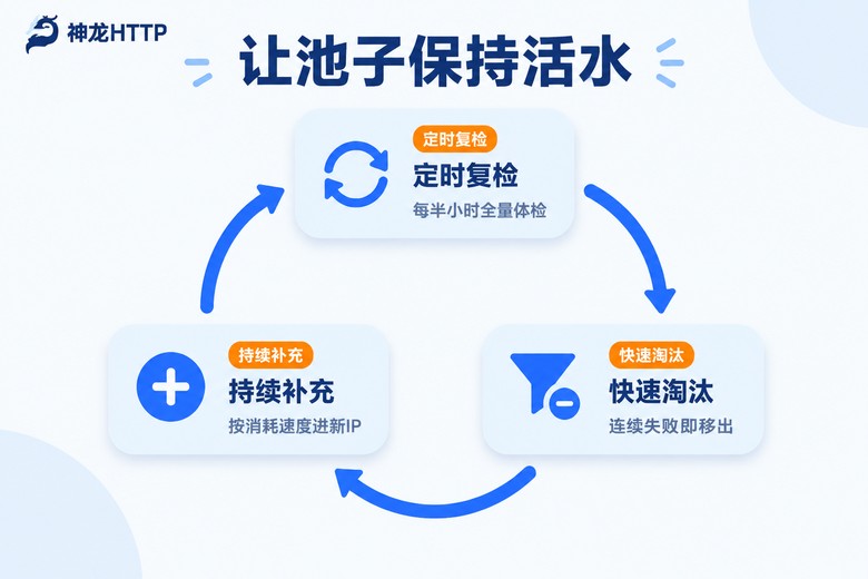 代理IP池日常维护循环信息图
